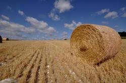 Fixation du barème indicatif de la valeur vénale moyenne des terres agricoles en 2012